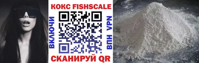 Купить закладки  Козьмодемьянск  Cocaine FishScale 
