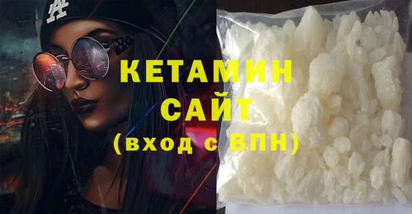 крисы Горняк