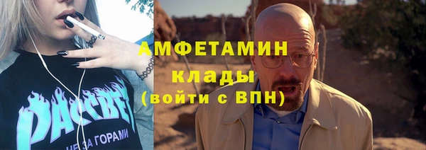 крисы Горняк