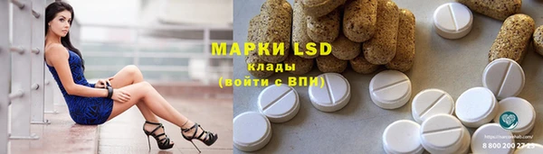 крисы Горняк
