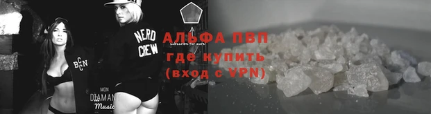 крисы Горняк