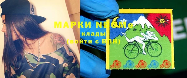 крисы Горняк