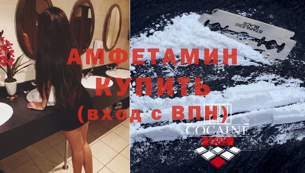 крисы Горняк